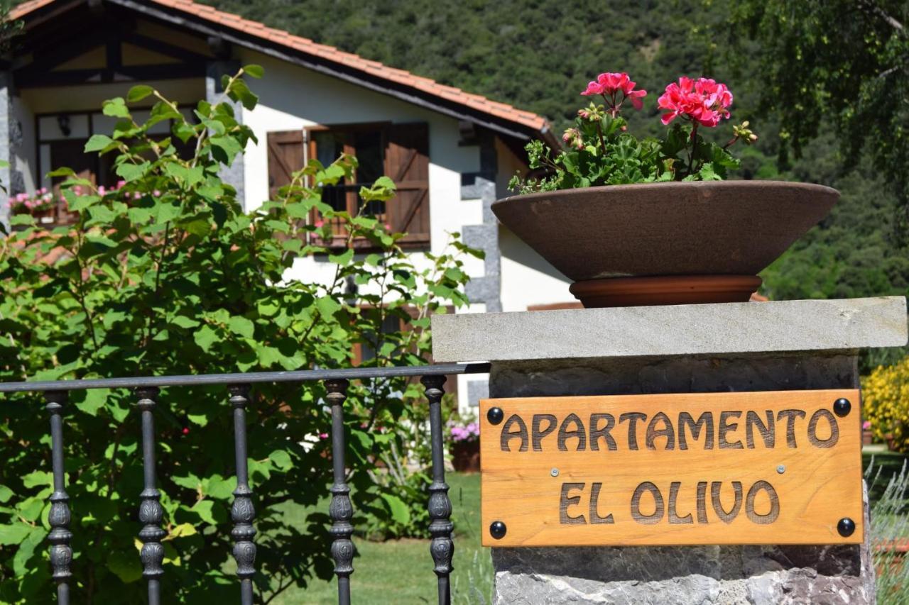 Excepcional Apartamento El Olivo 奥耶多 外观 照片